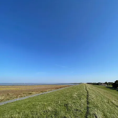 Am Deichland - Landsicht Norden