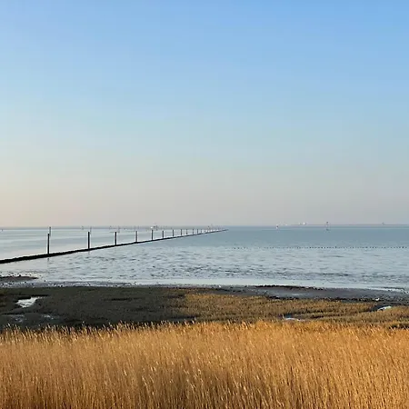 Am Deichland - Landsicht Apartmán