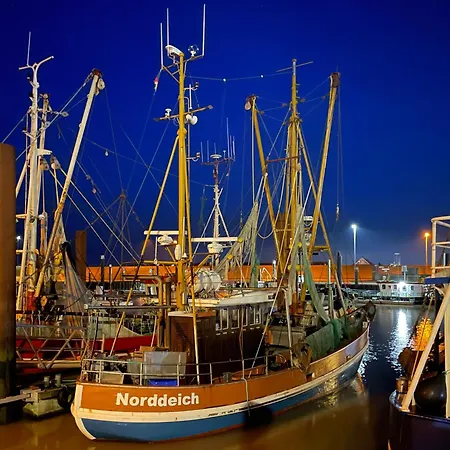 Am Deichland - Landsicht Apartmán *